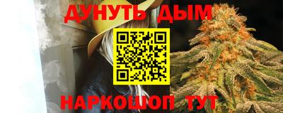 МДПВ Моздок