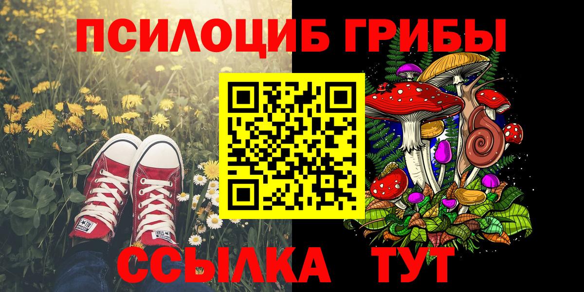 Фрязино  Галлюциногенные грибы Magic Shrooms  Вход с VPN  Псилоцибиновые грибы Magic Shrooms 