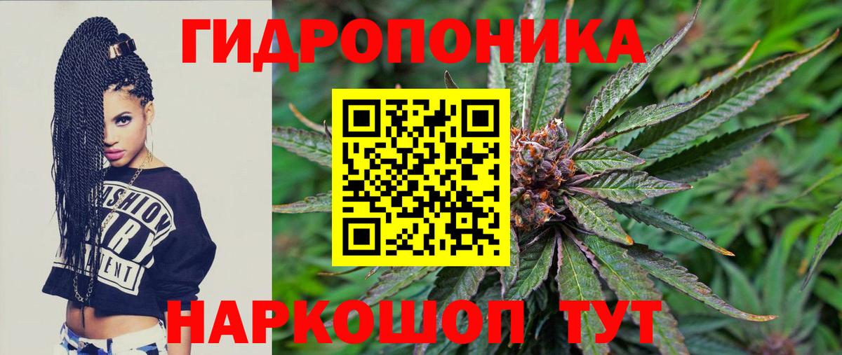 Канабис конопля Фрязино